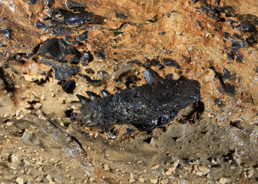 #45. West Virginia